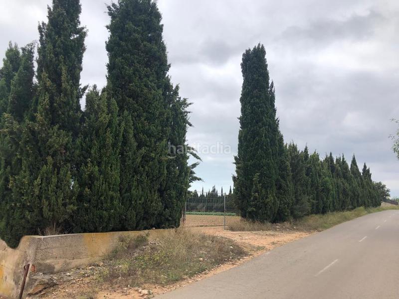 Foto e524fad2-428e-4a40-8825-2edc9ed86257. Finca rústica a Pueblo Benicarló