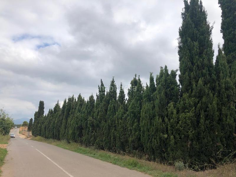 Foto fd686a19-ae84-40e4-9da1-8cd473099318. Finca rústica a Pueblo Benicarló