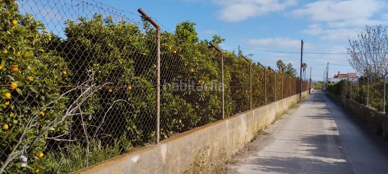 Foto 5ee087b4-f786-42e8-854a-bc35d4c203de. Finca rústica a partida collet 116 a Pueblo Benicarló
