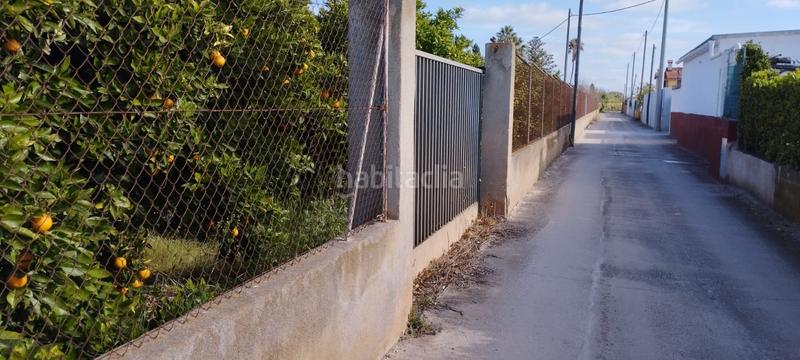 Foto 6f78fe69-4e97-4bbd-8d63-320ebc8564aa. Finca rústica a partida collet 116 a Pueblo Benicarló