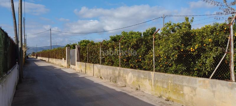 Foto 9b3bfb89-ed7e-44ad-bfcb-0196b456f608. Finca rústica a partida collet 116 a Pueblo Benicarló