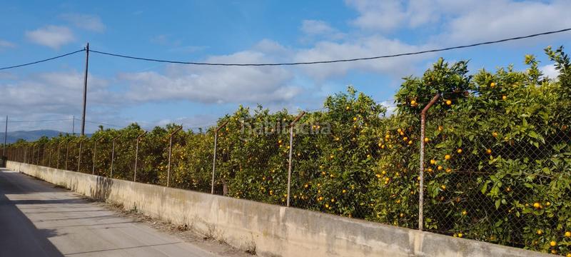 Foto e2101909-404e-4d0d-8212-3a8f52bf7a1e. Finca rústica a partida collet 116 a Pueblo Benicarló