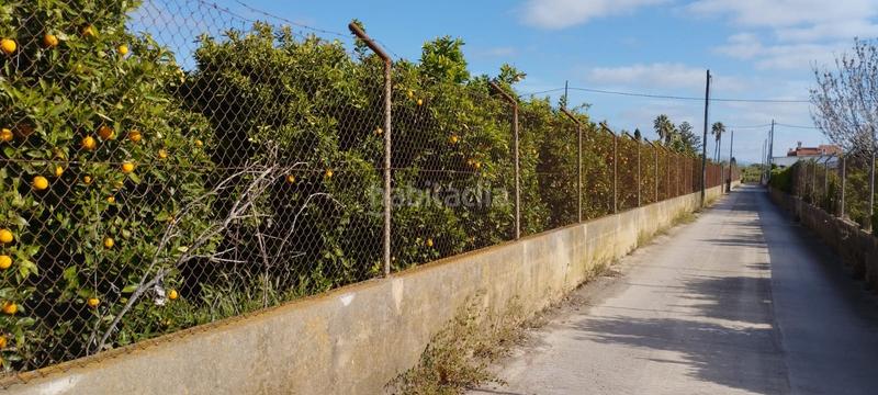 Foto fedacb02-9b30-4c5e-8eb0-4d91d8370ca8. Finca rústica a partida collet 116 a Pueblo Benicarló