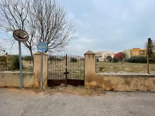 Finca rústica a Calle algemesí 26. 2 terrenos unidos rusticos a la venta