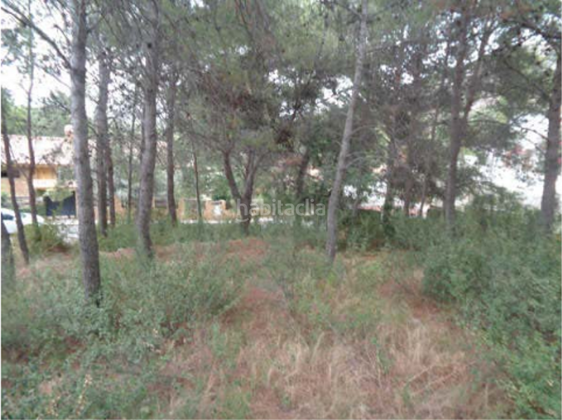 Foto 417da2b1-8850-408a-b4e9-b38ca6d7562f. Terreno residenziale in carrer el timonet 383 in Montornés-Las Palmas-El Refugio Benicasim / Benicàssim