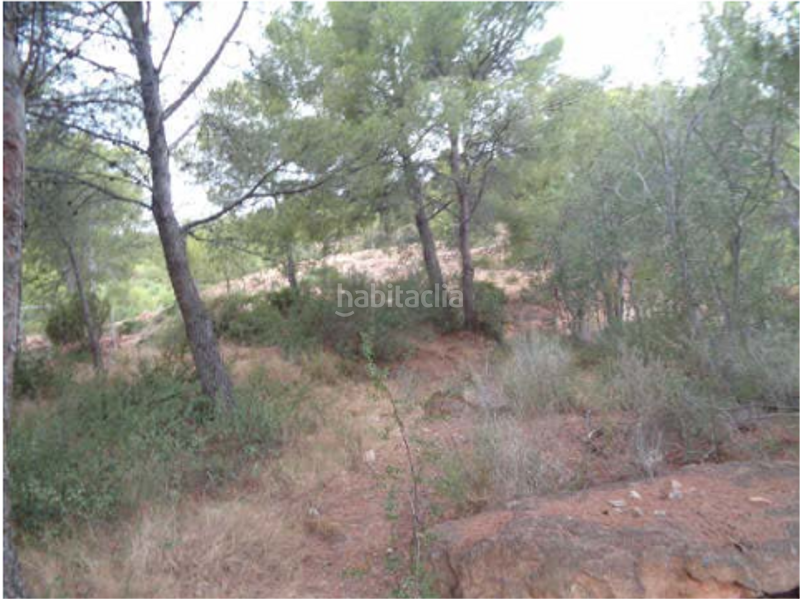 Foto 751a9062-b273-46c2-bc0b-67b5f8af50ce. Terreno residenziale in carrer el timonet 383 in Montornés-Las Palmas-El Refugio Benicasim / Benicàssim