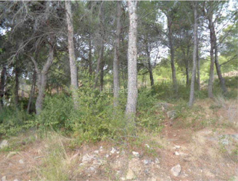 Foto d524c212-918b-40c9-8c5a-6d2e5dc76a7a. Terreno residenziale in carrer el timonet 383 in Montornés-Las Palmas-El Refugio Benicasim / Benicàssim