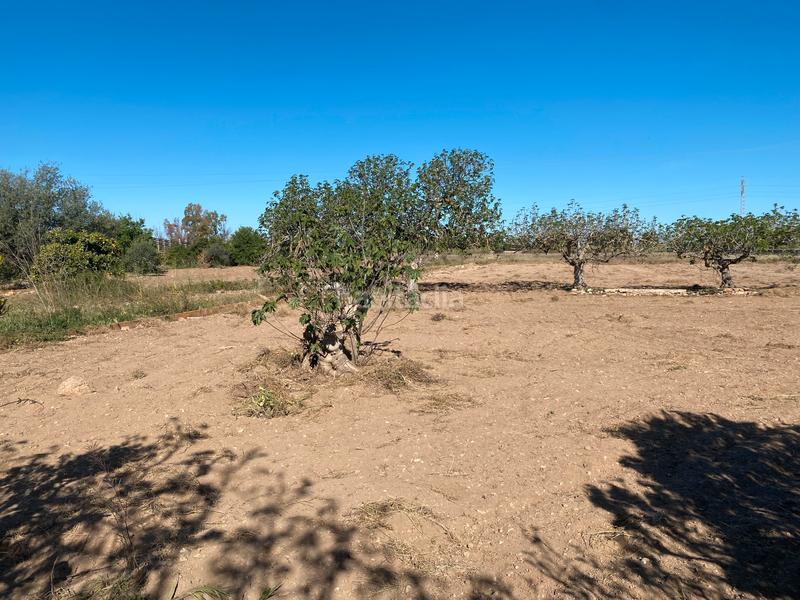 Foto a60a0311-2e70-4a35-bcf2-5e39b541c5a6. Terreno residencial en camí fondo 110 ehvm en Casco Urbano Vinaròs