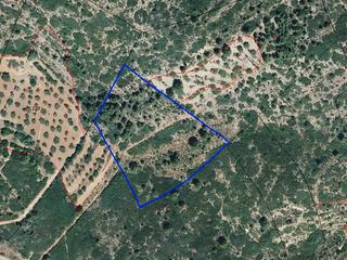 Finca rústica a Vall d´Alba