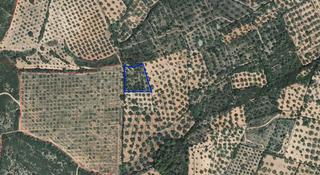 Finca rústica a Canet lo Roig