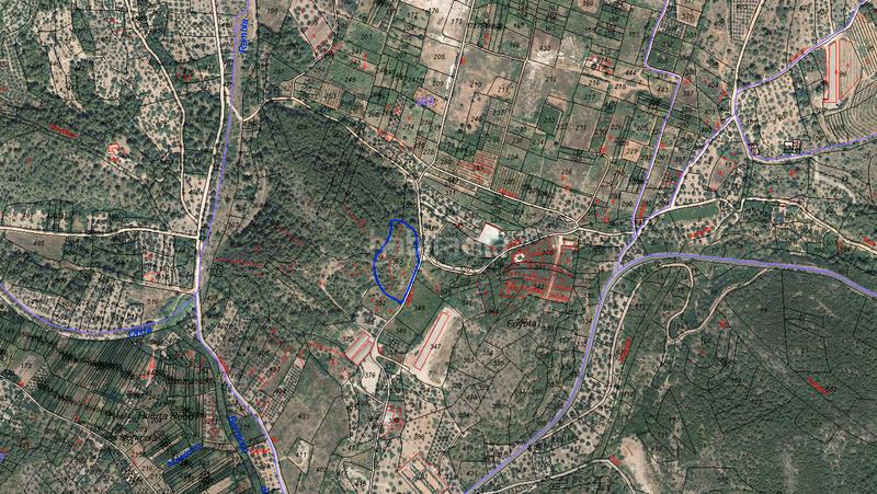 Foto 04536e9f-8a22-4d2f-b84b-e89181344e62. Propriété dans n/a dans Artana