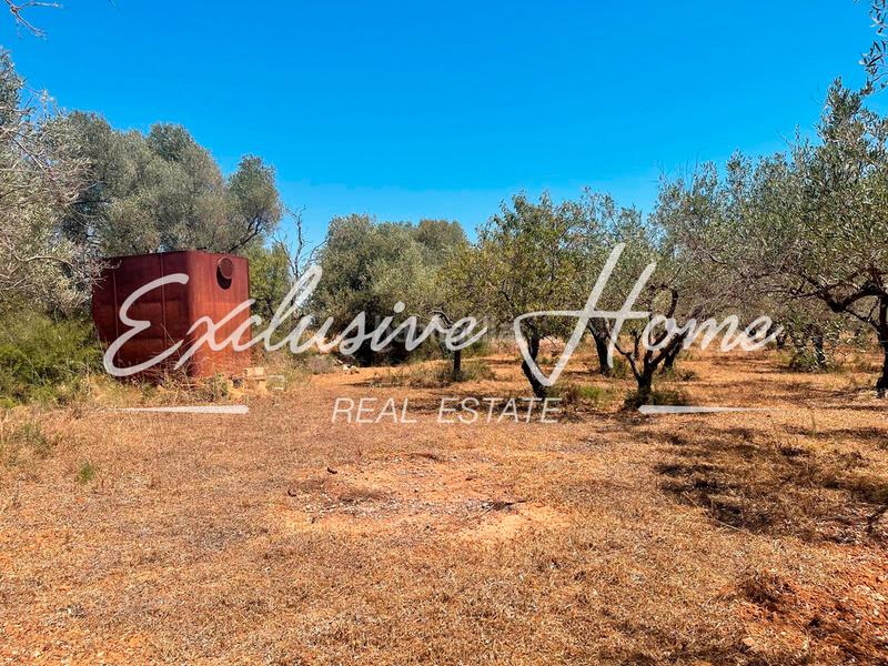 Foto 11fb242f-e49e-428e-bc89-7c7188af2d37. Finca rústica en plaça poligono 3 10 ehpj en Las Atalayas-Urmi-Cerro Mar Peñíscola
