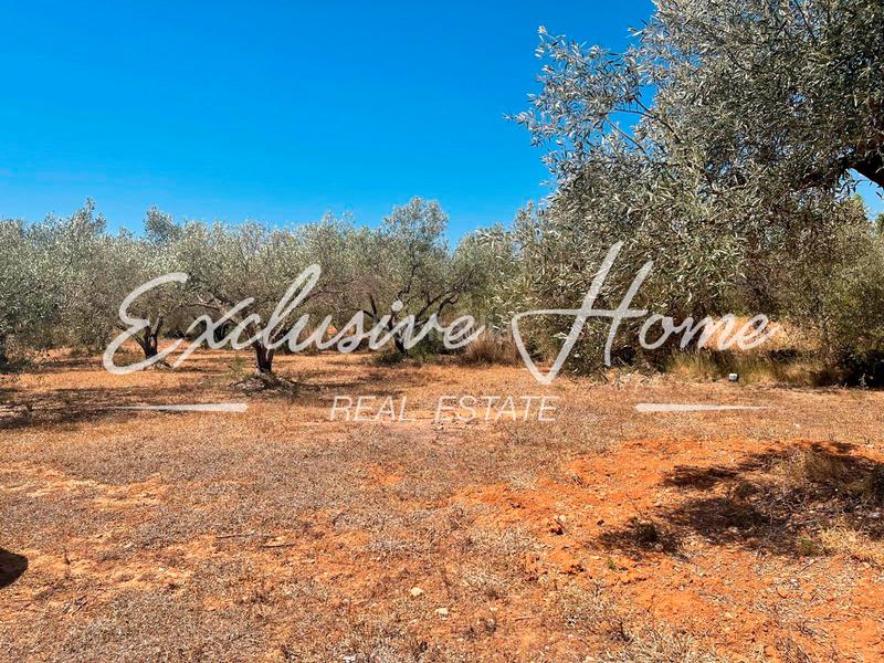 Foto 8e57b234-4092-4574-898d-71df95b5deb9. Finca rústica en plaça poligono 3 10 ehpj en Las Atalayas-Urmi-Cerro Mar Peñíscola