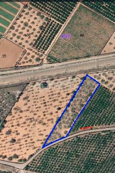 Foto b02b782a-223f-4b5f-b907-3ae69e35df6d. Finca rústica en plaça poligono 3 10 ehpj en Las Atalayas-Urmi-Cerro Mar Peñíscola