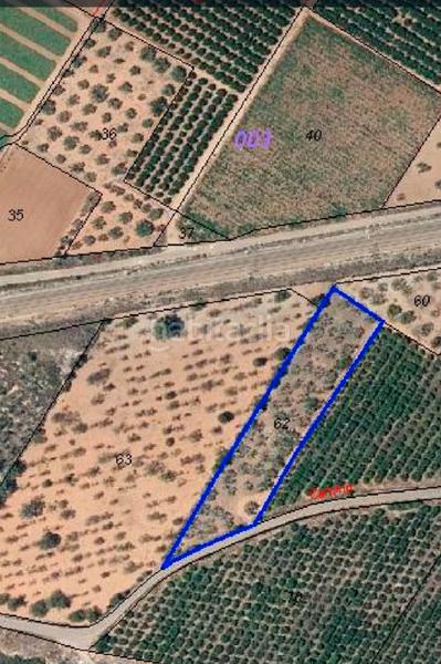 Foto babd6c50-e8a0-4186-a9ed-ff204ed7e40a. Finca rústica en plaça poligono 3 10 ehpj en Las Atalayas-Urmi-Cerro Mar Peñíscola