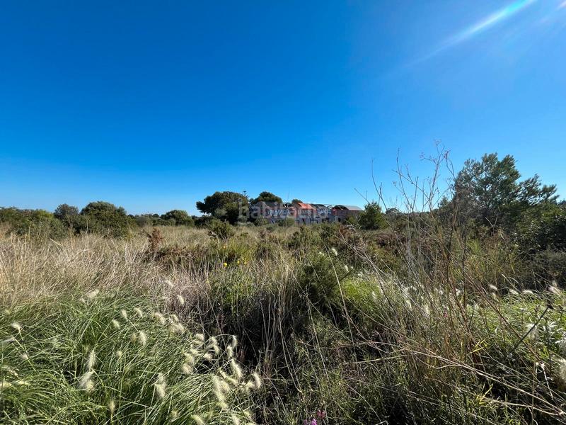 Foto ed711492-11b6-4f72-b74d-605444f85702. Solar industrial a plaça poligono 18 8 a Las Atalayas-Urmi-Cerro Mar Peñíscola