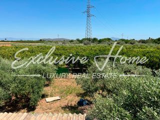 Finca rústica a Benicarló / vía de servicio 250. Partida covatelles benicarlo