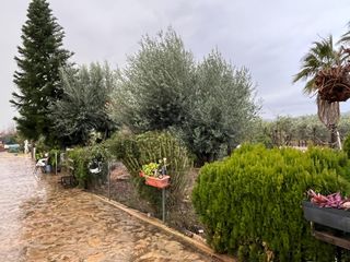 Terreno residenziale in Alcalà de Xivert