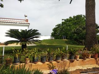 Finca rústica a Pueblo. El puig