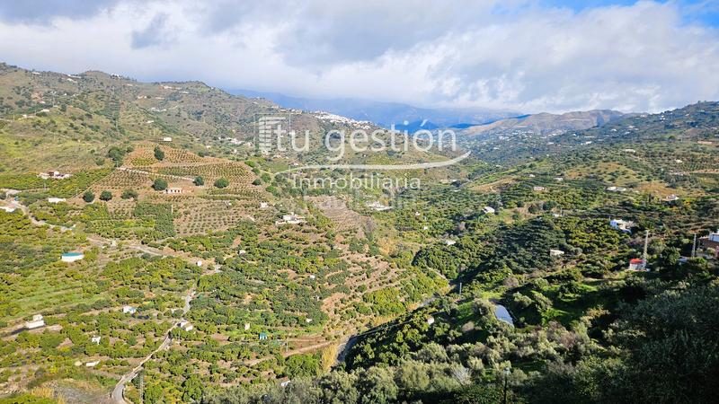 Foto 1d43f42a-5391-4eca-a181-1823a955002f. Casa adossada a Sayalonga