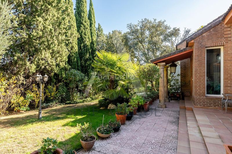 Foto 5ebdeda7-abfc-4e7c-a9a5-bf6ba2406a97. Casa amb calefacció aparcament piscina a Molino de la Hoz Rozas de Madrid (Las)