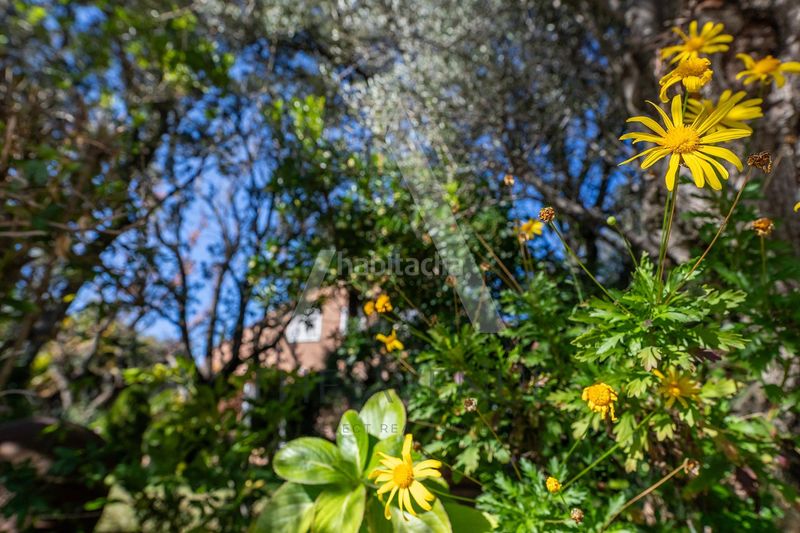 Foto 14c7e6b0-db53-4fc8-bf71-7ad647db0fcc. Casa amb aparcament piscina a Molino de la Hoz Rozas de Madrid (Las)