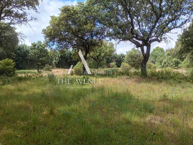 Foto 9d0e2ad6-8dd2-4d0c-97cb-a35aed81a82f. Terreno residencial parcela urbana próxima al centro de boadilla del monte en Villanueva de la Cañada