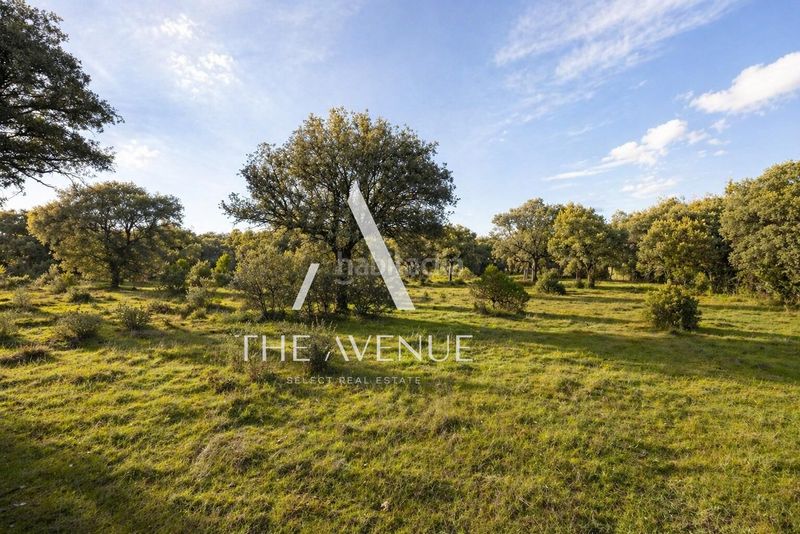 Foto e4a7f4b2-c2b2-4050-9e65-507a0f17aefb. Terreno residencial parcela urbana próxima al centro de boadilla del monte en Villanueva de la Cañada