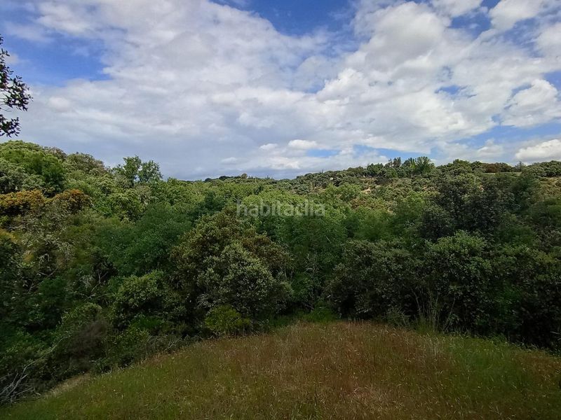 Foto f4bb3d69-a851-4dae-93d4-f60e4029a529. Terreno residencial parcela urbana próxima al centro de boadilla del monte en Villanueva de la Cañada