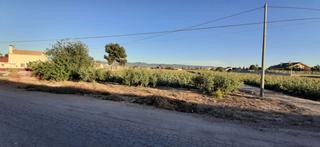 Residential Plot in Pozo Higuera. Parcela en venta en purias.