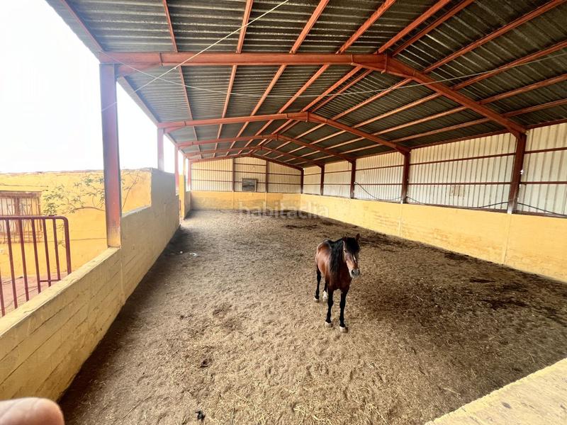 Foto 88b8a0a1-10c4-404a-a11b-0940fcc0ea69. Alquiler masía finca rúst. en alquiler en huércalovera. en Huércal - Overa
