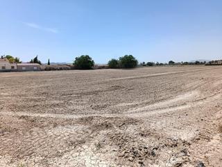 Residential Plot in Central. Parcela en venta en cazalla.