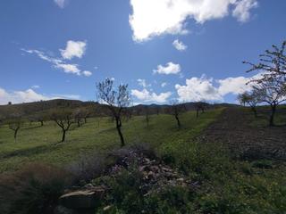 Residential Plot in Villaespesa. Parcela en venta en tercia.