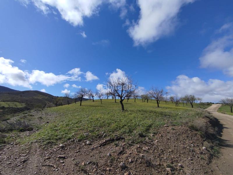 Foto 6df148fd-79f4-49df-86cb-bc4c2562700c. Casale in Zarcilla de Ramos Lorca