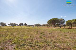 Terrain rsidentiel dans Carrer felip l'ardit 2. Una parcela ideal para la casa de sus sueos