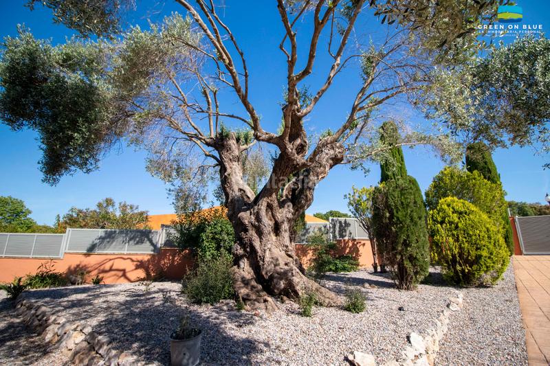 Foto de4b433b-b40c-454b-8c31-f8f42e49a455. Casa con camino riscaldamento parcheggio piscina in Peralada