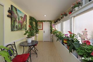 Pis a Calle AVE MARIA