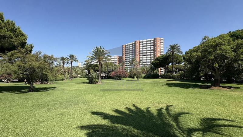 Foto 53f90a22-e3c0-46f7-a712-635ffd6b3b81. Appartement avec piscine dans Marbesa Marbella
