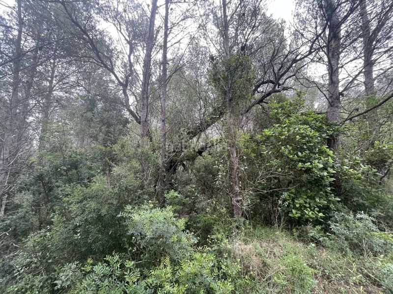 Foto a72bf9ce-c7bf-4ca2-94eb-030220878ae7. Finca rústica a Aldover