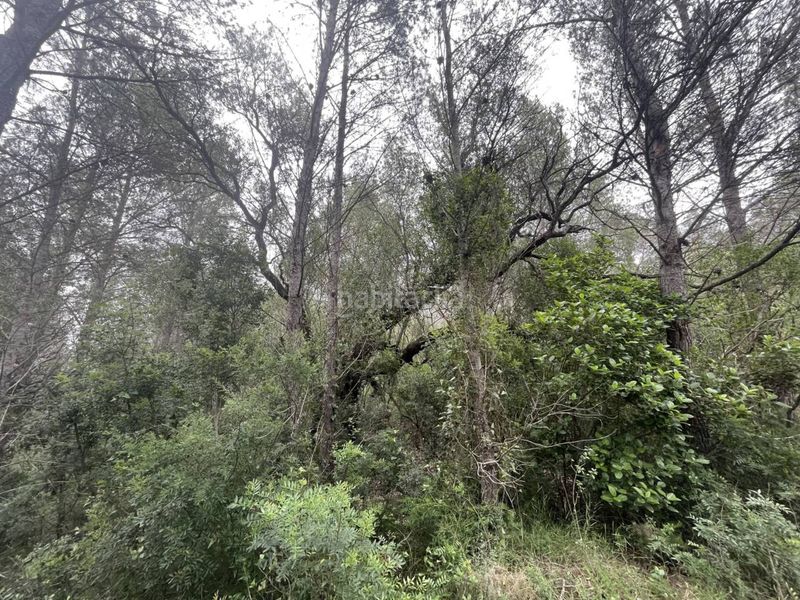 Foto d02f7f21-8eaa-455b-9ef0-72a46aa6b3ee. Finca rústica a Aldover