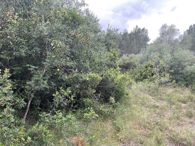 Foto d9388a66-ff04-42a4-b31b-f524ba9e4fd5. Finca rústica a Aldover
