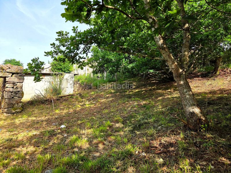 Foto d72137a7-2962-4a80-bf6d-6c6c0b9e8186. Masia a lugar o busto 23 a Meis