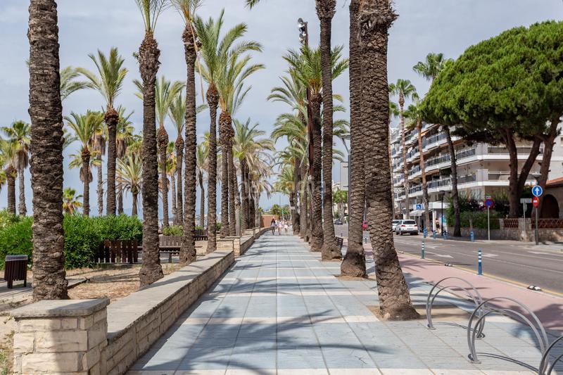 Foto b9aa361d-d8fd-404a-b1bc-ce4ef61a671a. Piccolo appartamento in Platja de Ponent Salou