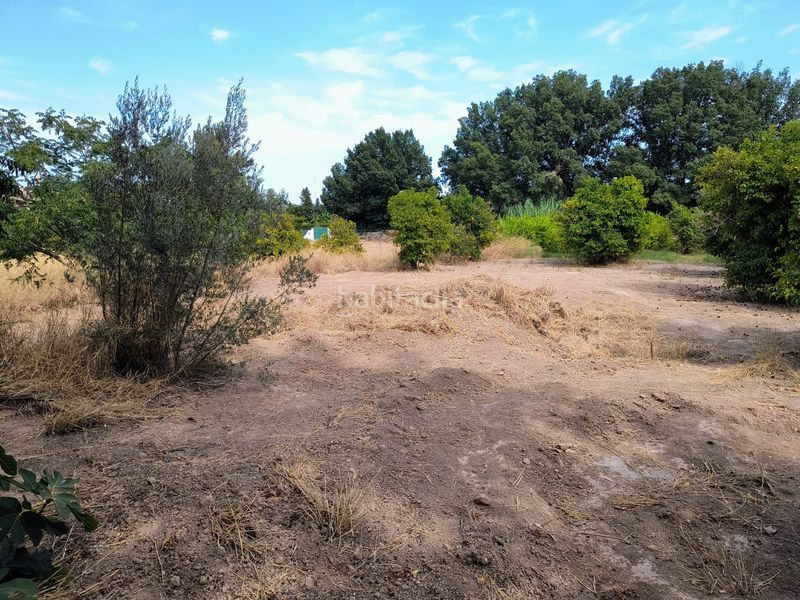 Foto aec2eb65-efc1-4ee6-ae39-87a94d40938d. Finca rústica a Guadalupe Murcia