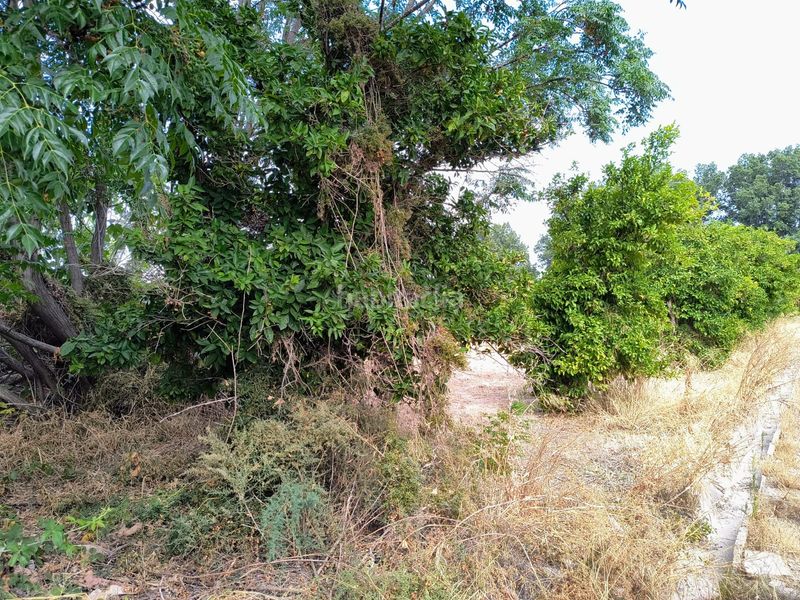 Foto d8495b7c-0f3f-4ebe-809c-f45d12c4d77f. Finca rústica a Guadalupe Murcia