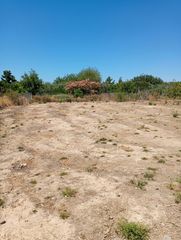 Finca r�stica en Rinc�n de Beniscornia. Terreno en la huerta