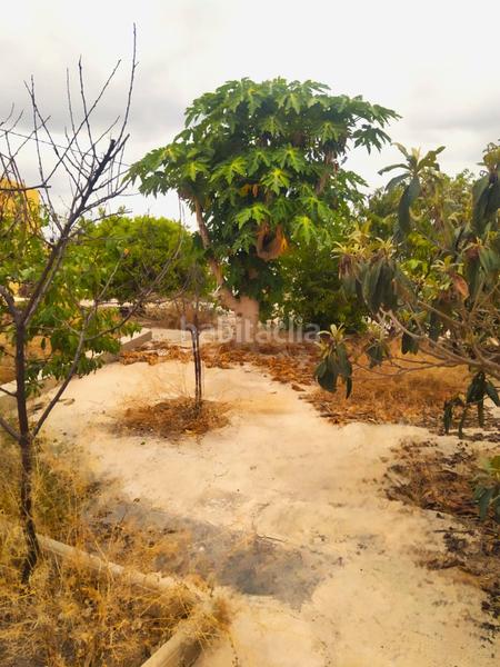 Foto 13380812-c82d-47ac-8567-ce57a766543a. Casa amb aparcament a La Ñora Murcia