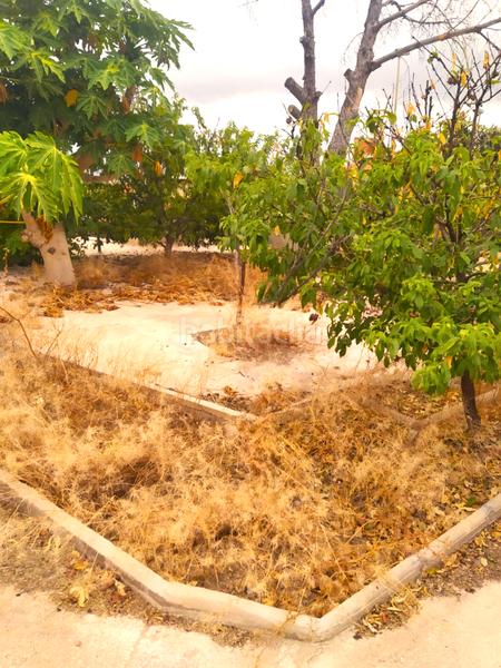 Foto d6fb6491-0706-4e4d-a128-b1218c5cd02b. Casa amb aparcament a La Ñora Murcia