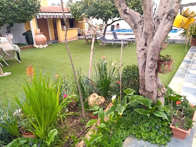 Foto 42565fe4-1db0-4c44-a4c9-51e7fac6f82f. Chalet  con piscina en la huerta en Albatalia Murcia