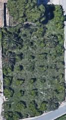 Terreny residencial a Albatalia. Terreno en la albatala